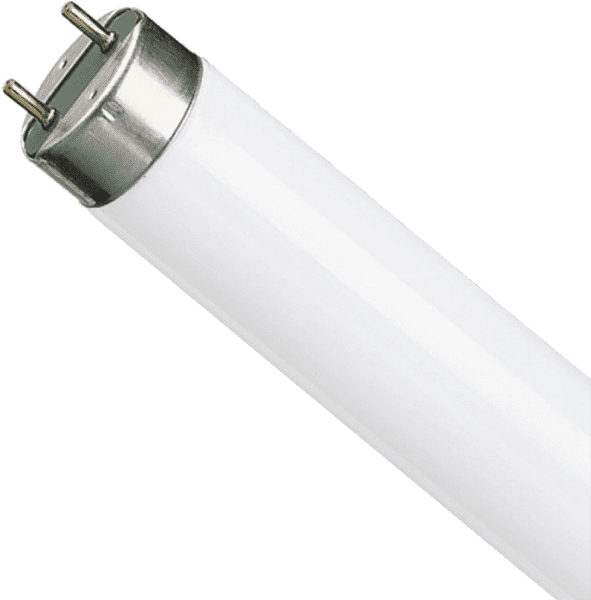 Лампа люм. 18W G13  18W/765 ФС