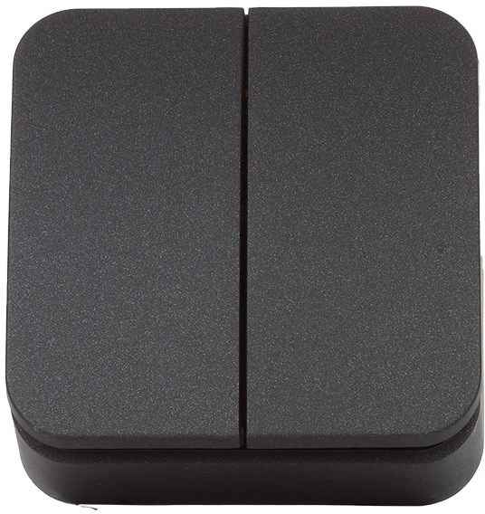 ШЭ БЛАНКА Выкл. 2кл. о/у , 10А  IP20 (антрацит, изол. пл.) (15шт) BLNVA105016