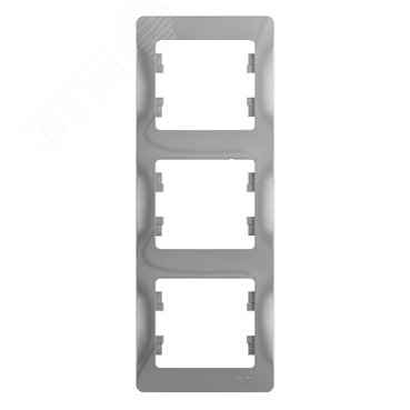 ШЭ Глосса Рамка 3-я верт.   GSL000307 (алюминий) (15шт/уп)