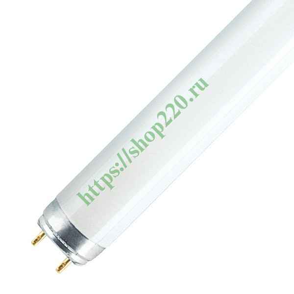 Лампа люм. 36W G13 6,5К 36W/865 ФС