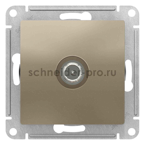 ШЭ Атлас Роз.TV оконечная 1DB, (б/рамки, шампань) ATN000591 (10шт/уп)