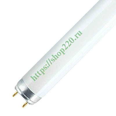 Лампа люм. 36W G13 6,5К 36W/865 ФС