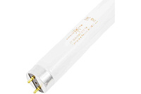 Лампа люм. 36W G13  FL-T8 36W/640 25X1 RU ORBIS