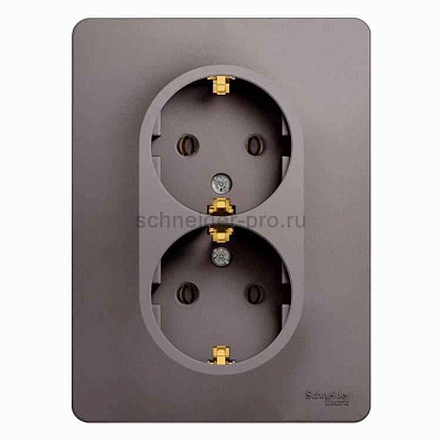 ШЭ Глосса Роз. 2-я с/у с/з 16А (платина, с/рамкой) GSL001224 (10шт/уп)