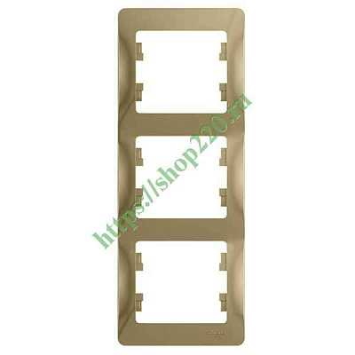 ШЭ Глосса Рамка 3-я верт.   GSL000407 (титан) (15шт/уп)