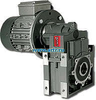 D503-320.49-M1-4-P80B5