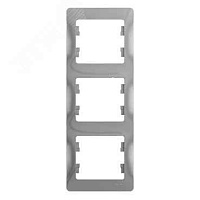 ШЭ Глосса Рамка 3-я верт.   GSL000307 (алюминий) (15шт/уп)