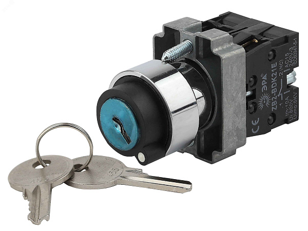 Переключат. LAY5-BG45 на 2 полож. с ключ. без фиксации ИЭК