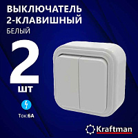 Элект Пилот Выкл. 2кл.с/у  6А IP20  ВС 56-232-Б Элект (70шт)
