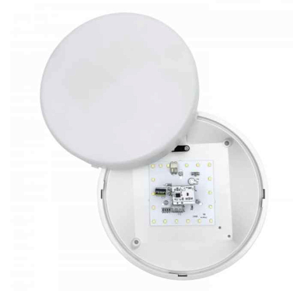 ДБО 07-20-002 УХЛ1, белый Свет, Витебск