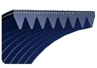 Ремень поликлиновый 12PJ 508