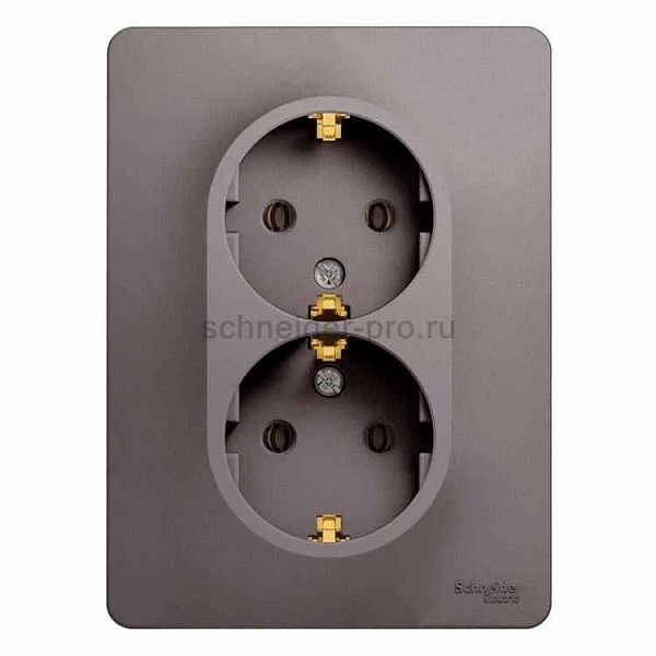 ШЭ Глосса Роз. 2-я с/у с/з 16А (платина, с/рамкой) GSL001224 (10шт/уп)