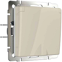 ШЭ 59аква Роз. с/у 1-ая с/з з/шт с крышкой IP44 16А (сл.кость, с рамкой)(10шт) RS16-152B-28