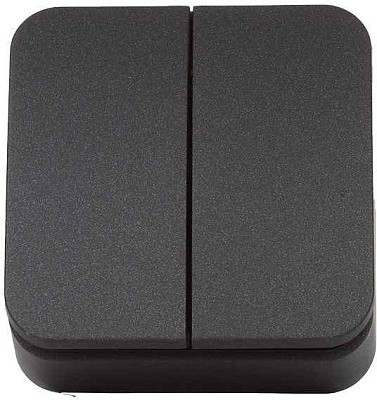 ШЭ БЛАНКА Выкл. 2кл. о/у , 10А  IP20 (антрацит, изол. пл.) (15шт) BLNVA105016