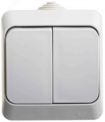 ШЭ Этюд Выкл. о/у 2кл. IP44 (серый) (250В, 10Аx) BA10-042C