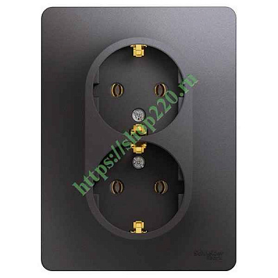 ШЭ Глосса Роз. 2-я с/у с/з 16А (графит, с/рамкой) GSL001324 (10шт/уп)