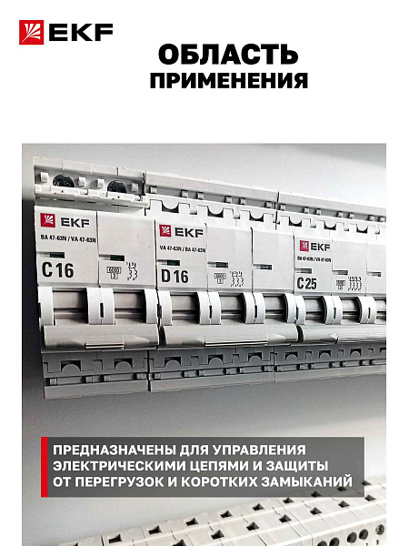 Автоматический выключатель A9F75110 АВТ. ВЫКЛ.iC60N 1П 10A D Schneider