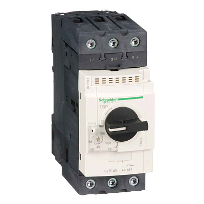 GV3P65 АВТОМАТИЧЕСКИЙ ВЫКЛЮЧАТЕЛЬ С КОМБИНИРОВАННЫМ РАСЦЕПИТЕЛЕМ 65А ВИНТ.ЗАЖ.