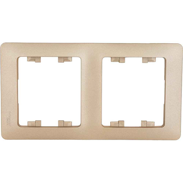 ШЭ Глосса Рамка 2-я верт.   GSL000406 (титан) (30шт/уп)