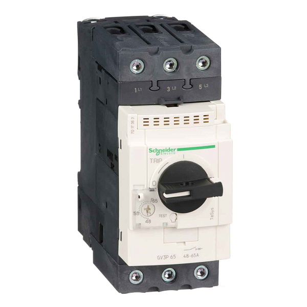 Автоматический выключатель GV3P65 АВТОМАТИЧЕСКИЙ ВЫКЛЮЧАТЕЛЬ С КОМБИНИРОВАННЫМ РАСЦЕПИТЕЛЕМ 65А ВИНТ.ЗАЖ. Schneider