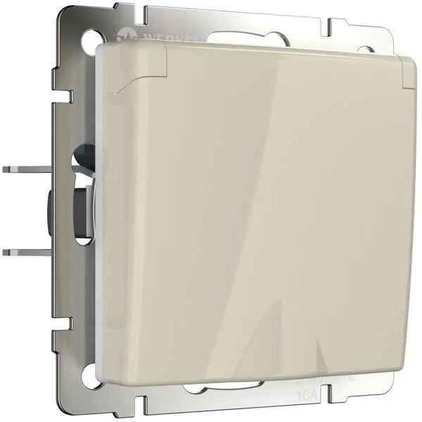 ШЭ 59аква Роз. с/у 1-ая с/з з/шт с крышкой IP44 16А (сл.кость, с рамкой)(10шт) RS16-152B-28