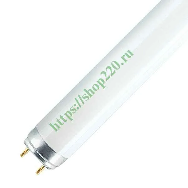 Лампа люм. 36W G13 6,5К 36W/865 ФС