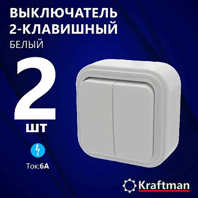Элект Викинг Выкл. 2кл.о/у  6А IP20  ВА 56-232-Б Элект (80шт)
