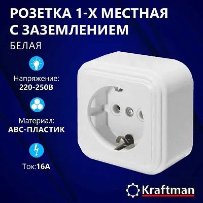 Элект Пилот Роз. с/у 1-я с заземл. 16А IP20 РС16-133-Б (белый) (60шт) Элект