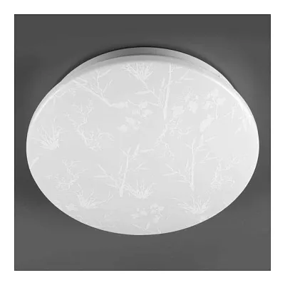 ДПО 12Вт 6500К GSMCL-020-12  Plant  12Вт 6500K 780Лм 190*218x55мм   без пульта General