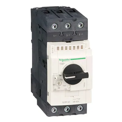GV3P65 АВТОМАТИЧЕСКИЙ ВЫКЛЮЧАТЕЛЬ С КОМБИНИРОВАННЫМ РАСЦЕПИТЕЛЕМ 65А ВИНТ.ЗАЖ.