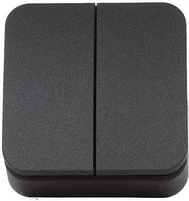 ШЭ БЛАНКА Выкл. 2кл. о/у , 10А  IP20 (антрацит, изол. пл.) (15шт) BLNVA105016