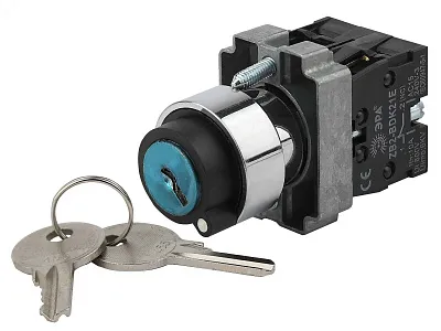 Переключат. LAY5-BG45 на 2 полож. с ключ. без фиксации ИЭК